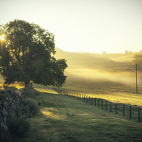 Buy canvas prints of Misty Morning in Perthshire by Fraser Hetherington