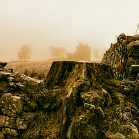 Buy canvas prints of Castle in the Mist by Fraser Hetherington