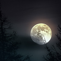 Buy canvas prints of Lomond Moon by Fraser Hetherington