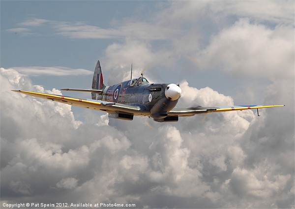 Spitfire - portrait of an icon Print by Pat Speirs