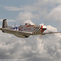 Buy canvas prints of P51 Mustang - 'Doll' by Pat Speirs