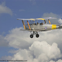 Buy canvas prints of DH82 Tiger Moth by Pat Speirs