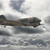 Buy canvas prints of DC3 Dakota  Aerial Workhorse by Pat Speirs