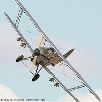 Buy canvas prints of Hawker Hind by Pat Speirs