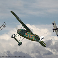 Buy canvas prints of Fokker D VIII - Spoiled for Choice by Pat Speirs