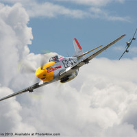 Buy canvas prints of P51 Mustang - Tortoise and the Hare by Pat Speirs