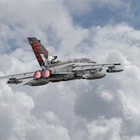 Buy canvas prints of RAF Tornado - 617 Squadron by Pat Speirs