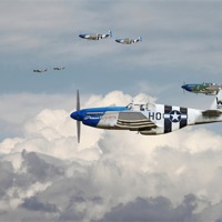 Buy canvas prints of P51 Mustang - 352nd Blue Noses by Pat Speirs