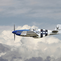 Buy canvas prints of P51 Mustang - Gallery No. 2 by Pat Speirs