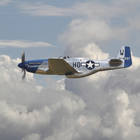 Buy canvas prints of P51 Mustang - Gallery No. 3 by Pat Speirs