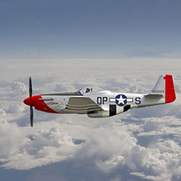 Buy canvas prints of P51 Mustang - Gallery No. 4 by Pat Speirs