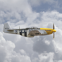 Buy canvas prints of P51 Mustang - Gallery No. 5 by Pat Speirs