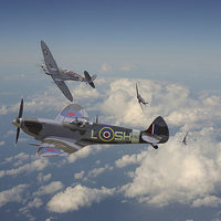 Buy canvas prints of  Spitfire - 'Tally Ho' by Pat Speirs