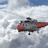 Buy canvas prints of Royal Navy - Sea King by Pat Speirs
