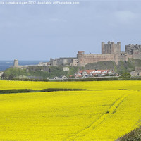 Buy canvas prints of Bamburgh Castle by kailie canadas rogers
