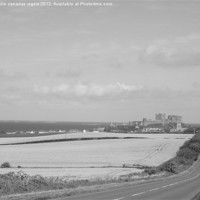 Buy canvas prints of Bamburgh Castle B&W by kailie canadas rogers