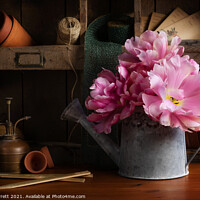 Buy canvas prints of Tulips in the Potting Shed by Ann Garrett