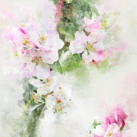 Buy canvas prints of Apple Blossom Art by Ann Garrett