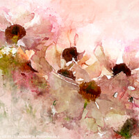 Buy canvas prints of Ranunculus Watercolor by Ann Garrett