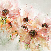 Buy canvas prints of Ranunculus Art by Ann Garrett