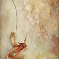 Buy canvas prints of Faded Tulip Textured by Ann Garrett