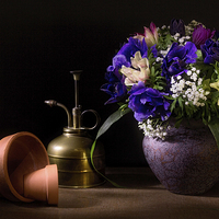 Buy canvas prints of A Vase of Anemones by Ann Garrett