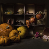 Buy canvas prints of Halloween Still Life by Ann Garrett