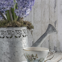 Buy canvas prints of Hyacinth Teatime by Ann Garrett