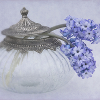 Buy canvas prints of Two Hyacinth Flowers by Ann Garrett
