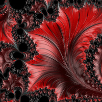 Buy canvas prints of Red on Black Macro - A Fractal Abstract by Ann Garrett
