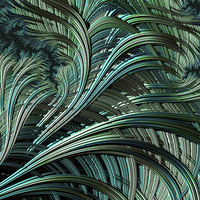 Buy canvas prints of Green Palm - A Fractal Abstract by Ann Garrett