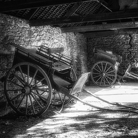 Buy canvas prints of Old Barn and Horse Carriages Monochrome by Ann Garrett