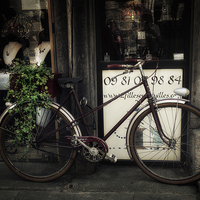 Buy canvas prints of The Bicycle by Ann Garrett