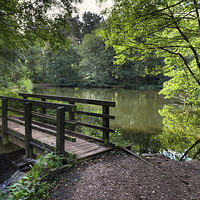 Buy canvas prints of Cannock Chase Panorama 2 by Ann Garrett