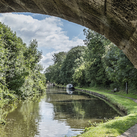 Buy canvas prints of The Canal at Gnosall by Ann Garrett