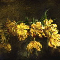Buy canvas prints of Vase of Yellow Tulips by Ann Garrett