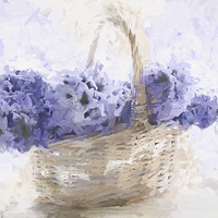 Buy canvas prints of Basket of Hyacinth - Digital Painting by Ann Garrett