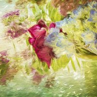 Buy canvas prints of Summer Flowers by Ann Garrett