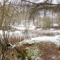 Buy canvas prints of Small Lake in the Snow by Ann Garrett