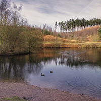 Buy canvas prints of Fishing Pool, Birches Valley, Cannock Chase by Ann Garrett