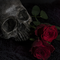 Buy canvas prints of Skull and Red Roses by Ann Garrett