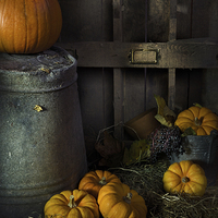 Buy canvas prints of Pumpkins on Straw by Ann Garrett