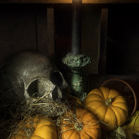 Buy canvas prints of Skull and Pumpkins by Ann Garrett