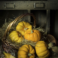 Buy canvas prints of Pumpkins in a Basket 2 by Ann Garrett
