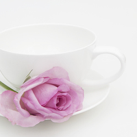 Buy canvas prints of Pink Rose with a White Teacup and Saucer by Ann Garrett