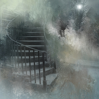 Buy canvas prints of Mysterious Steps by Ann Garrett