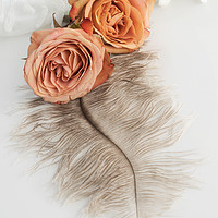 Buy canvas prints of Two Old English Roses and Feather by Ann Garrett