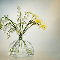 Buy canvas prints of Lilies of the Valley in a Glass Vase by Ann Garrett