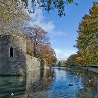 Buy canvas prints of The Moat, Wells Cathedral by Ann Garrett