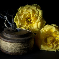 Buy canvas prints of Two Yellow Roses and a Reel of String by Ann Garrett